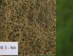 DB 3 - NA DB 3 - NA