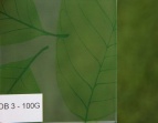 DB 3 - 100G DB 3 - 100G