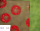 DB 3 - 142 DB 3 - 142