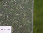 DB 3 - 157 DB 3 - 157